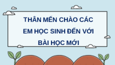 Giáo án Powerpoint Trao đổi nước và khoáng ở thực vật Sinh học 11 Kết nối tri thức