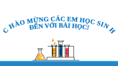 Giáo án Powerpoint Xà phòng và chất giặt rửa Hóa học 12 Chân trời sáng tạo