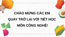 Giáo án Powerpoint Ôn tập chương I Công nghệ 9 Chế biến thực phẩm Kết nối tri thức