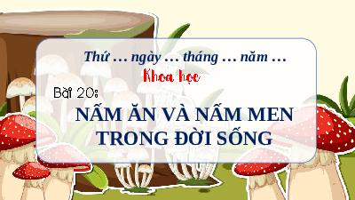 Giáo án Powerpoint Bài 20 Khoa học lớp 4 Chân trời sáng tạo: Nấm ăn và nấm men trong đời sống