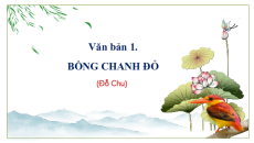 Giáo án Powerpoint Bài 7: Yêu thương và hi vọng Ngữ văn 8 Chân trời sáng tạo