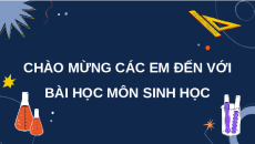 Giáo án Powerpoint Bài 11: Vận chuyển các chất qua màng sinh chất Sinh học 10 Chân trời sáng tạo