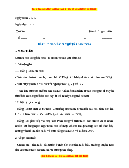 Giáo án Bài 1 Sinh học 12 Kết nối tri thức: DNA và cơ chế tái bản DNA