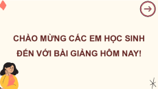 Bài giảng Powerpoint Hoạt động trải nghiệm 12 Kết nối tri thức
