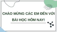 Giáo án Powerpoint Sinh sản ở động vật Sinh học 11 Kết nối tri thức