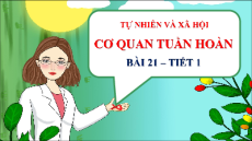 Giáo án Powerpoint Bài 21 Tự nhiên xã hội lớp 3 Chân trời sáng tạo: Cơ quan tuần hoàn