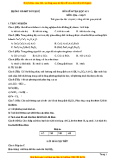 Đề thi cuối kì 1 Hóa học 9 Phòng GD&ĐT Đức Huệ