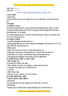 Giáo án Bài 30 KHTN 6 Chân trời sáng tạo (2024): Thực hành phân loại thực vật
