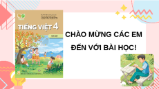 Giáo án Powerpoint Đọc: Con vẹt xanh (trang 55, 56) Tiếng việt lớp 4 Kết nối tri thức