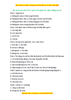 Trắc nghiệm Bài 11 Địa lí 6 Kết nối tri thức: Quá trình nội sinh và quá trình ngoại sinh. Hiện tượng tạo núi