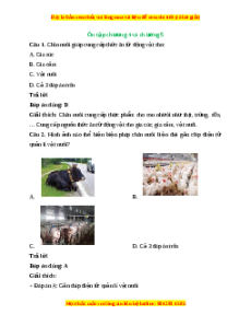 Trắc nghiệm Công nghệ 7 Ôn tập chương 4 và chương 5 Chân trời sáng tạo