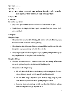 Giáo án Bài 6 Sinh học 12 Chân trời sáng tạo: Thực hành