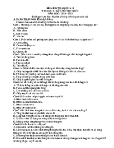 Đề thi Cuối kì 1 Tin học 9 Kết nối tri thức (Đề 1)