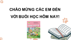 Giáo án Powerpoint Bài 10: Cảm xúc Trường Sa Tiếng việt lớp 4 Kết nối tri thức (Phiên bản 2)