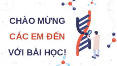 Giáo án Powerpoint Bài 12: Đột biến nhiễm sắc thể Sinh học 12 Kết nối tri thức