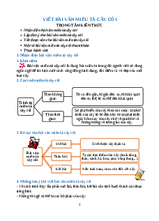 Chuyên đề Viết bài văn miêu tả cây cối lớp 4