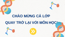 Giáo án Powerpoint Bài 4: Hệ gene, đột biến gene và công nghệ gene Sinh học 12 Chân trời sáng tạo