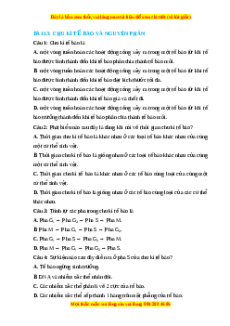 Trắc nghiệm Chu kì tế bào và nguyên phân Sinh học 10 Cánh diều