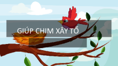 Trò chơi powerpoint Xây tổ