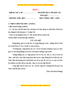 Đề thi học kì 2 Tiếng Việt lớp 2 Chân trời sáng tạo (Đề 3)