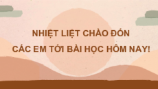 Bài giảng Powerpoint Sinh học 11 Chân trời sáng tạo