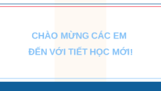 Giáo án Powerpoint Bài 18 KTPL 10 Cánh diều: Hiến pháp nước Cộng hòa xã hội chủ nghĩa Việt Nam về bộ máy nhà nước
