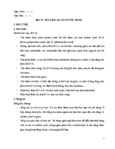 Giáo án Bài 37 KHTN 9 Chân trời sáng tạo (2024): Nucleic acid và ứng dụng