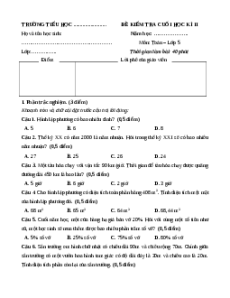 Đề thi Cuối kì 2 Toán lớp 5 Cánh Diều 2025 (Đề 5)
