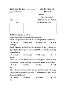 Đề thi Cuối kì 2 Toán lớp 5 Cánh Diều 2025 (Đề 2)
