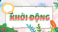 Giáo án Powerpoint Tuần 21 Hoạt động trải nghiệm lớp 5 Cánh diều