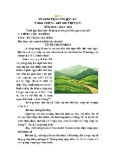 Đề thi cuối kì 1 Tiếng Việt lớp 5 Kết nối tri thức (Đề 1)