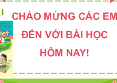 Giáo án Powerpoint Bài 22: Chuyện cây chuyện người Tiếng việt lớp 2 Cánh diều