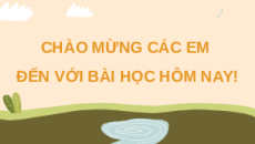 Giáo án Powerpoint Khái quát về trao đổi chất và chuyển hóa năng lượng Sinh học 11 Kết nối tri thức