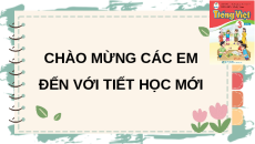 Giáo án Powerpoint Đọc: Người trí thức yêu nước trang 86, 87 Tiếng việt lớp 3 Cánh diều