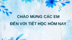 Giáo án powerpoint Các trường hợp đồng dạng của hai tam giác vuông Toán 8 Chân trời sáng tạo