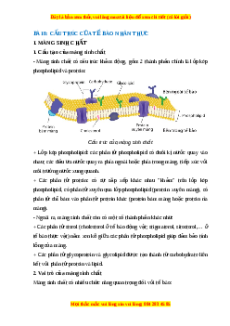 Lý thuyết Sinh học 10 Cánh diều Bài 8: Cấu trúc của tế bào nhân thực