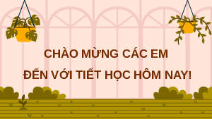 Giáo án Powerpoint Bài 11 Địa lí 8 Chân trời sáng tạo: Đặc điểm chung và sự phân bố của lớp phủ thổ nhưỡng