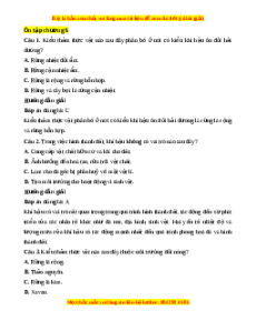Trắc nghiệm tổng hợp Chương 6 Địa Lí 10 Kết nối tri thức