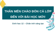 Giáo án Powerpoint Bài 11: Thực hành Sinh học 12 Chân trời sáng tạo