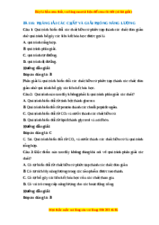 Trắc nghiệm Sinh học 10 Bài 16 Chân trời sáng tạo: Phân giải các chất và giải phóng năng lượng