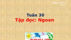 Giáo án Powerpoint Tập đọc: Ngoan Tiếng việt lớp 1 Cánh diều