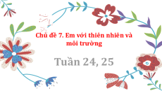 Bài giảng Powerpoint Chủ đề 7: Em với thiên nhiên và môi trường