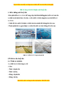 Lý thuyết Công nghệ 7 Chân trời sáng tạo Bài 13: Quy trình kĩ thuật nuôi thuỷ sản