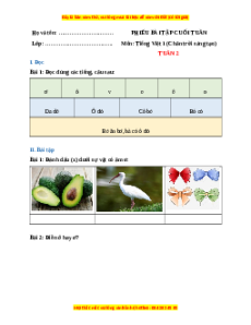 Bài tập cuối tuần Tiếng việt lớp 1 Tuần 2 Chân trời sáng tạo (có lời giải)