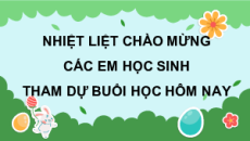 Giáo án Powerpoint Bài 8: Mùa hoa phố Hội Tiếng việt lớp 4 Chân trời sáng tạo (Phiên bản 2)