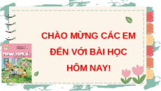 Giáo án Powerpoint Đọc: Tờ báo tường của tôi (trang 24, 25, 26) Tiếng việt lớp 4 Kết nối tri thức (Phiên bản 2)