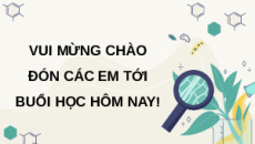 Giáo án Powerpoint Bài 14 Sinh học 11 Chân trời sáng tạo: Khái quát về cảm ứng ở sinh vật
