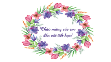 Giáo án Powerpoint Thực hành tiếng Việt trang 54, 55 Ngữ văn 10 Cánh diều