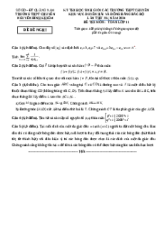 Đề thi HSG Toán 11 Trường THPT Chuyên Nguyễn Bỉnh Khiêm - Quảng Nam