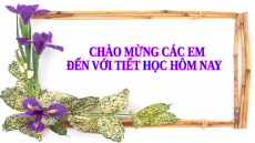 Giáo án Powerpoint Làm tròn số và ước lượng kết quả Toán 7 Chân trời sáng tạo